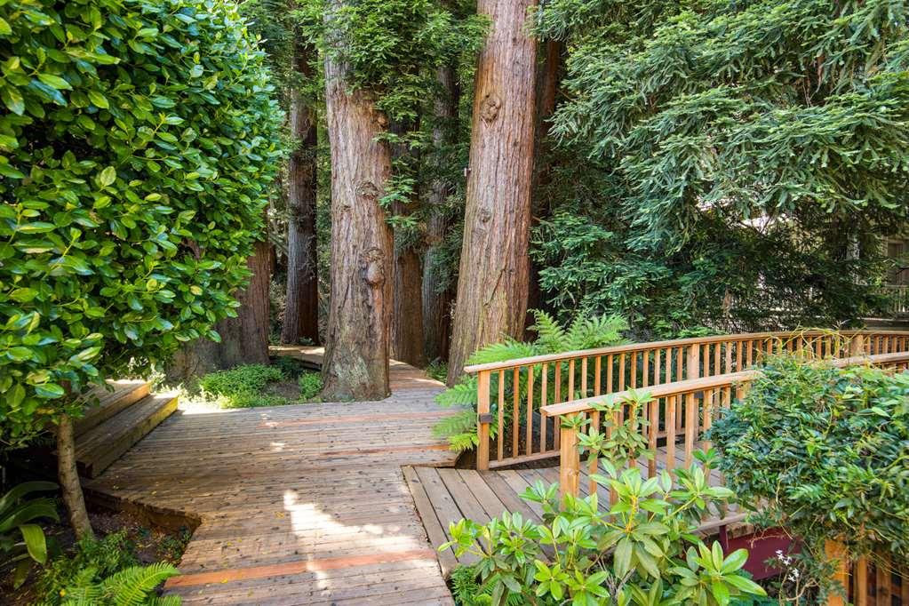 Mill Valley Inn ภายนอก รูปภาพ